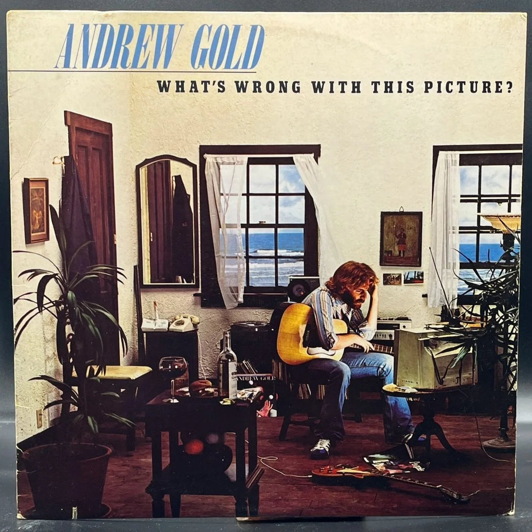Andrew Gold - What's Wrong With This Picture?