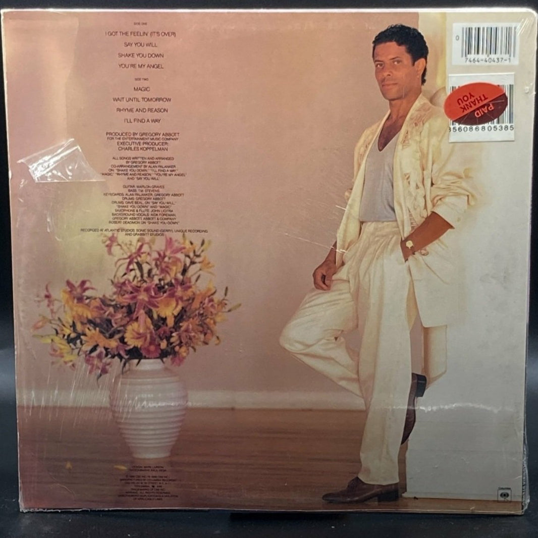 Gregory Abbott - Shake You Down