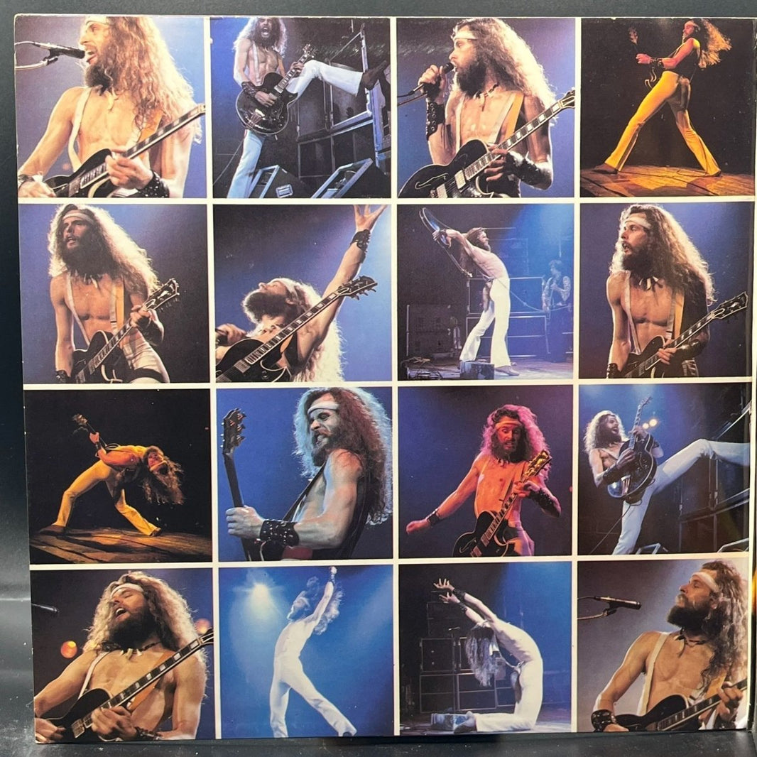 Ted Nugent - Double Live Gonzo
