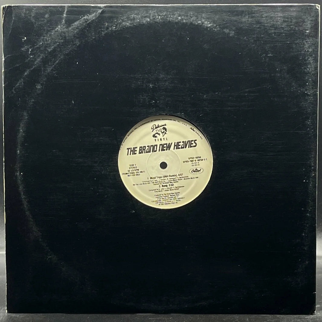 The Brand New Heavies - Mind Trips (SuperStar Remix Single)