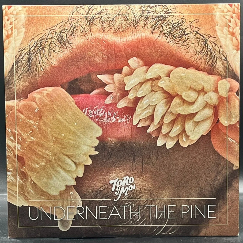 Toro Y Moi - Underneath The Pine
