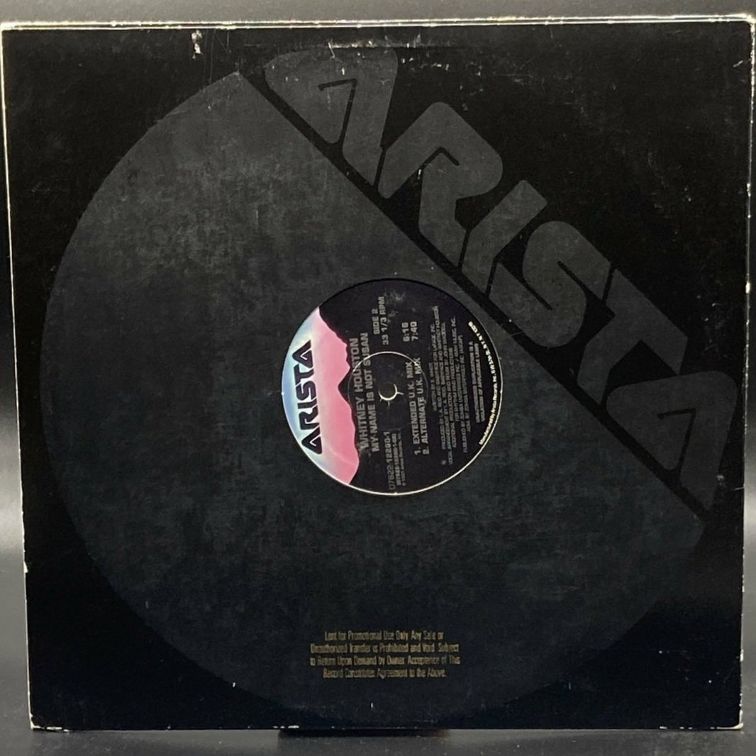 Whitney Houston - My Name Is Not Susan (Single)