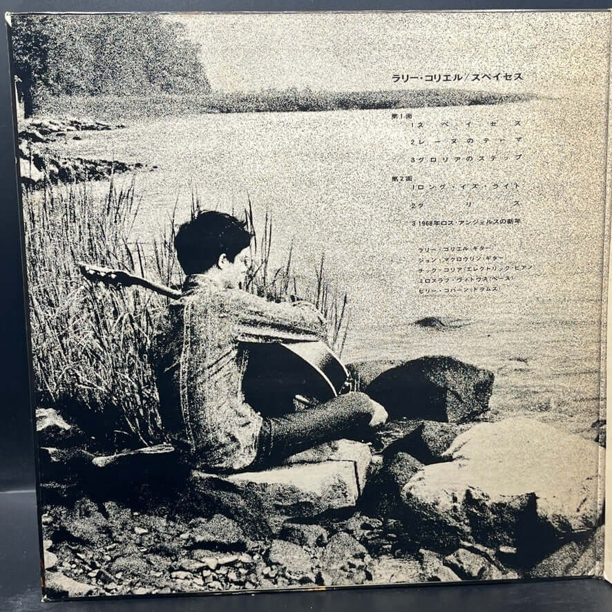 Larry Coryell - Spaces