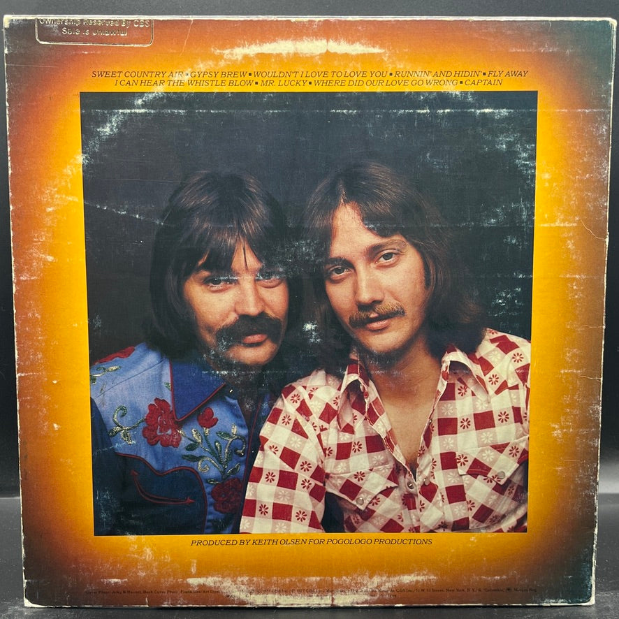Fools Gold - Mr. Lucky