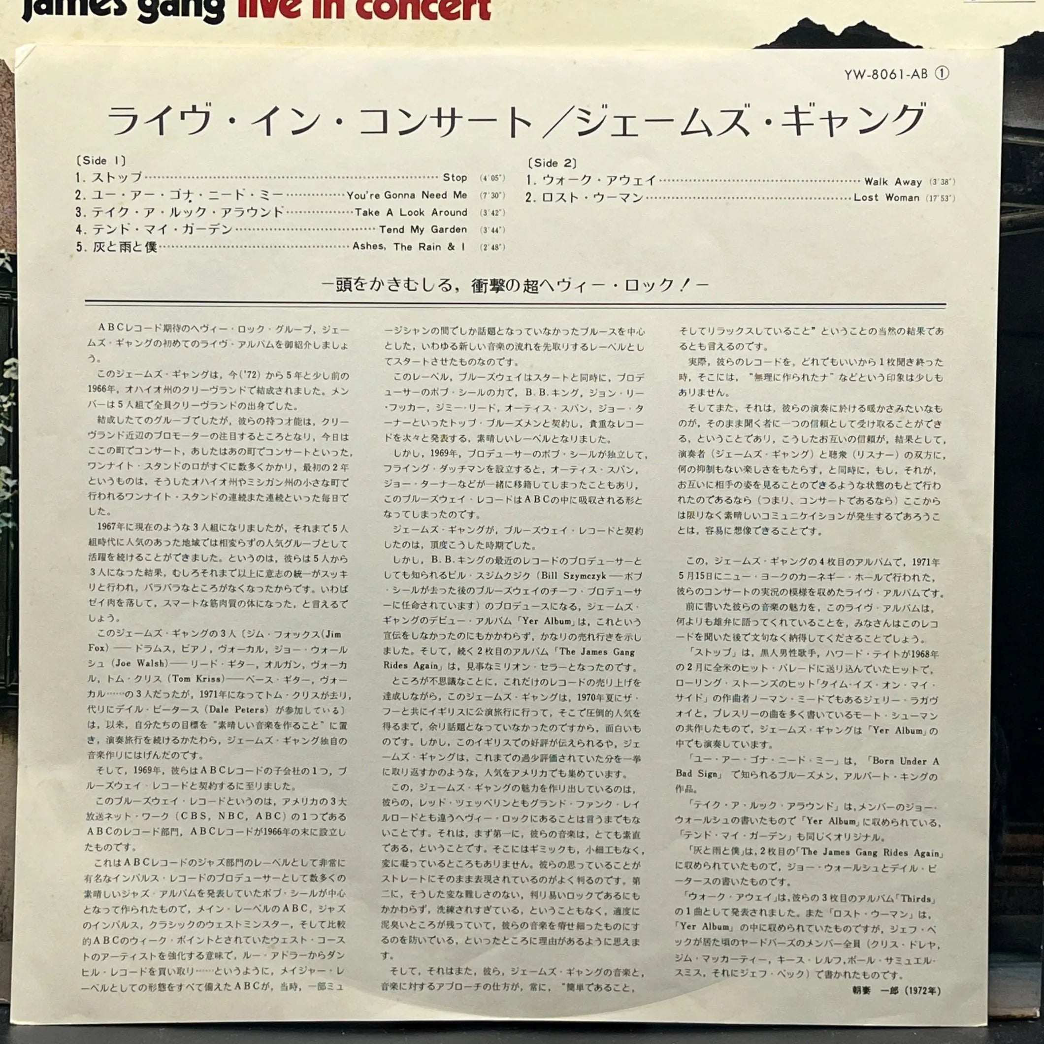 James Gang - Live In Concert