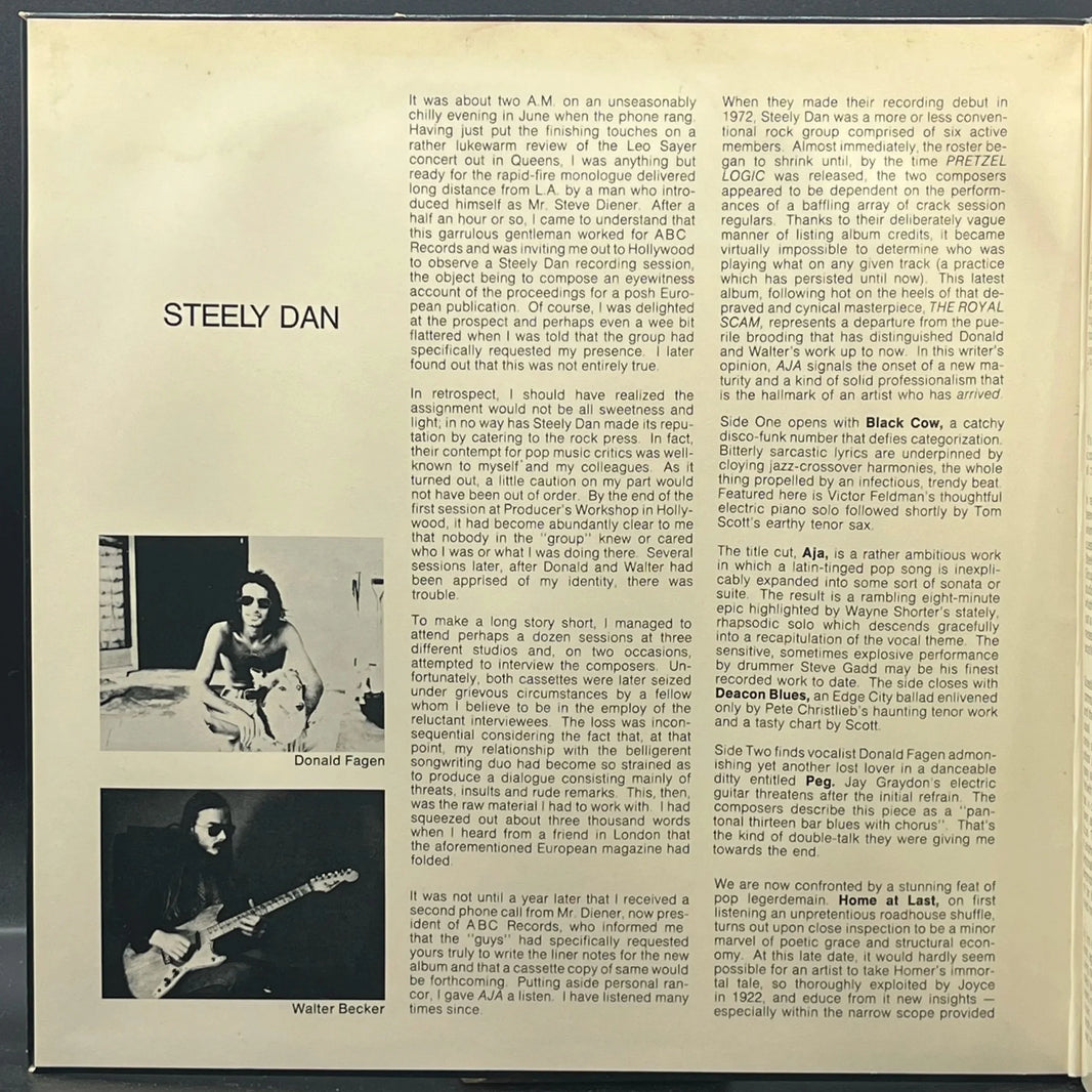 Steely Dan - Aja
