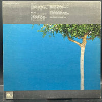 Alex de Grassi - Turning: Turning Back