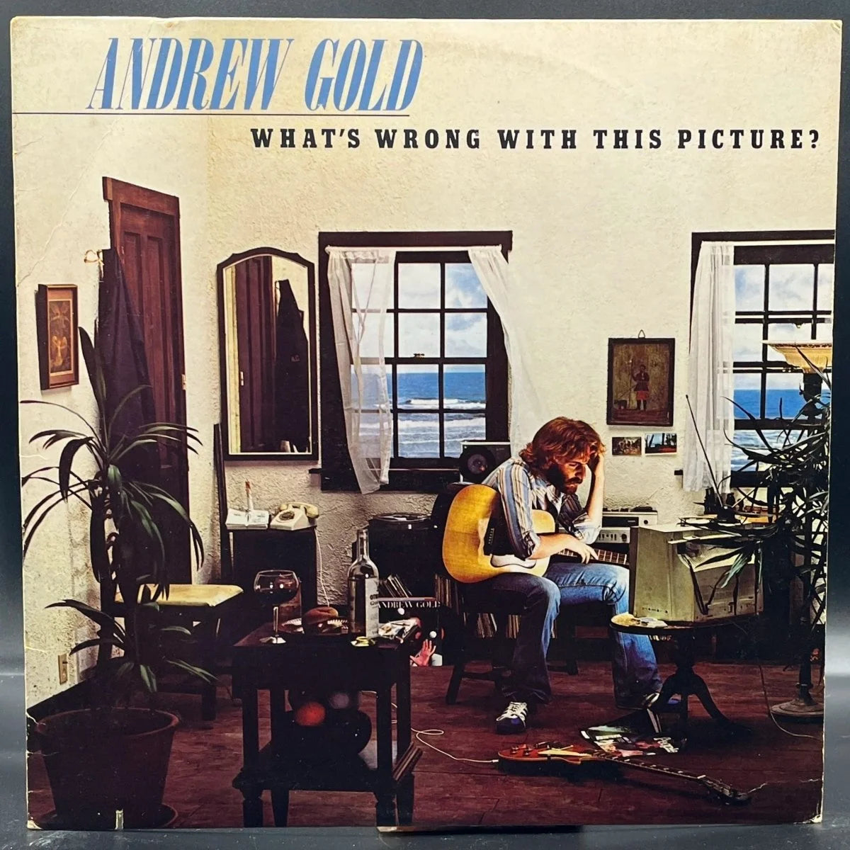 Andrew Gold - What's Wrong With This Picture?