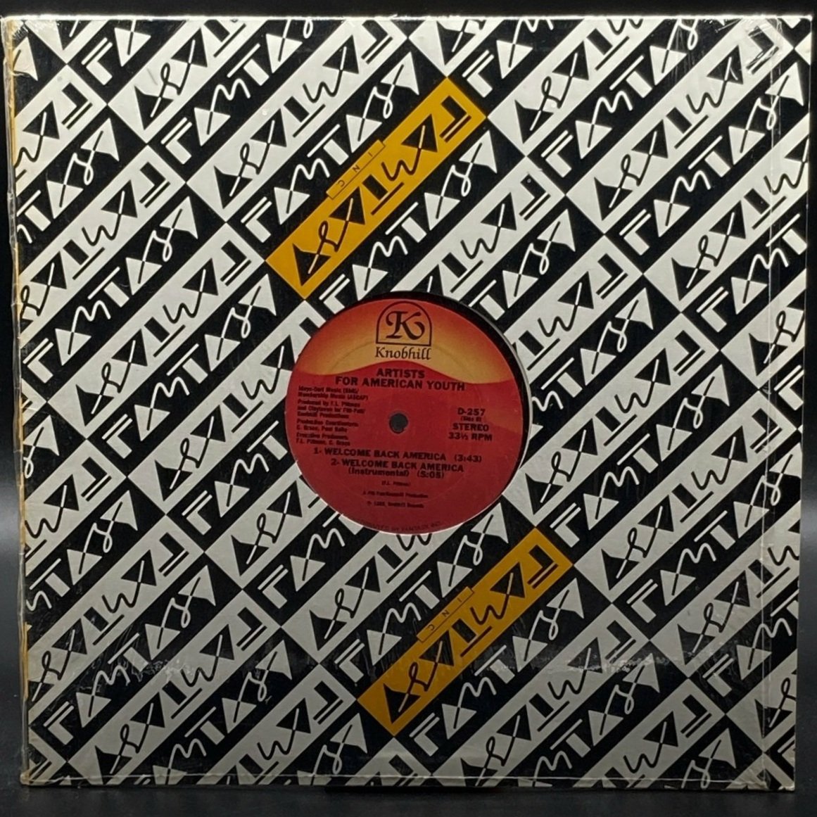 Artists For American Youth - Welcome Back America (Single)