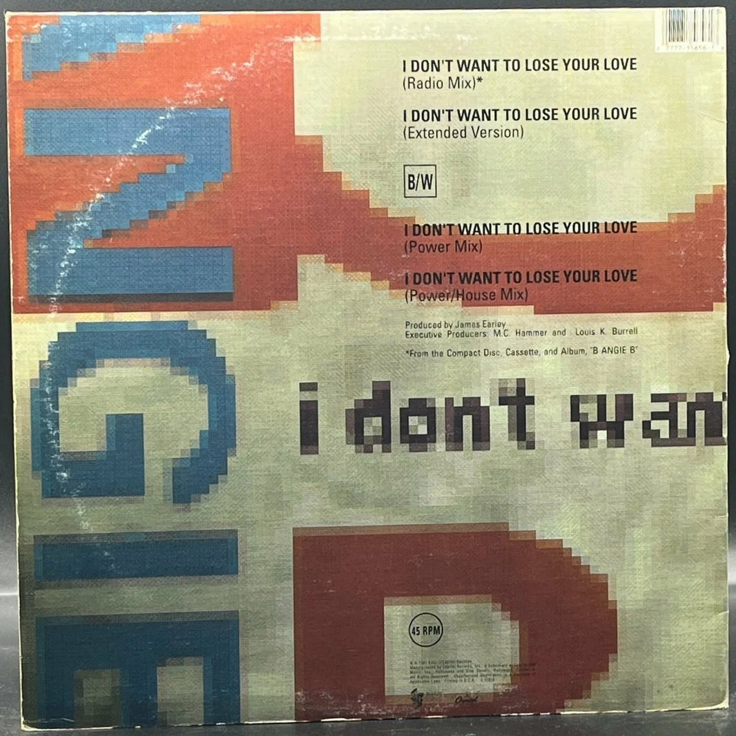B Angie B - I Don't Want To Lose Your Love (Single)