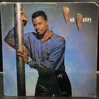 Bob Bailey - Bob Bailey