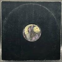 Boy Wunder - Boy Wunder Presents Shakin Down (Single)