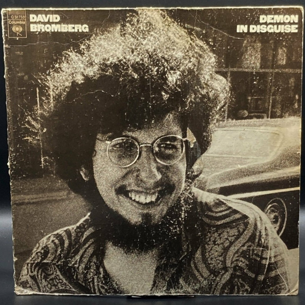 David Bromberg - Demon In Disguise