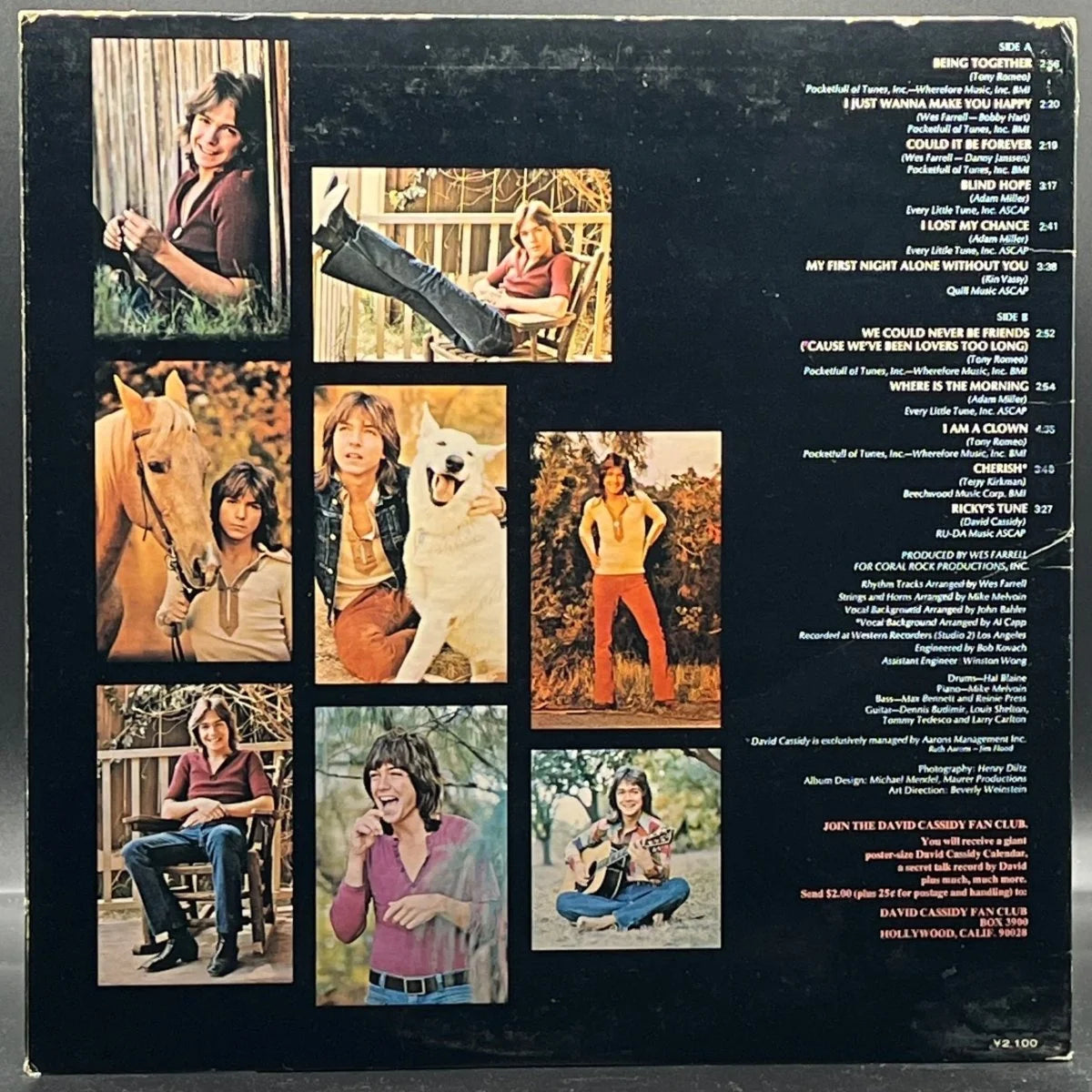 David Cassidy - Cherish
