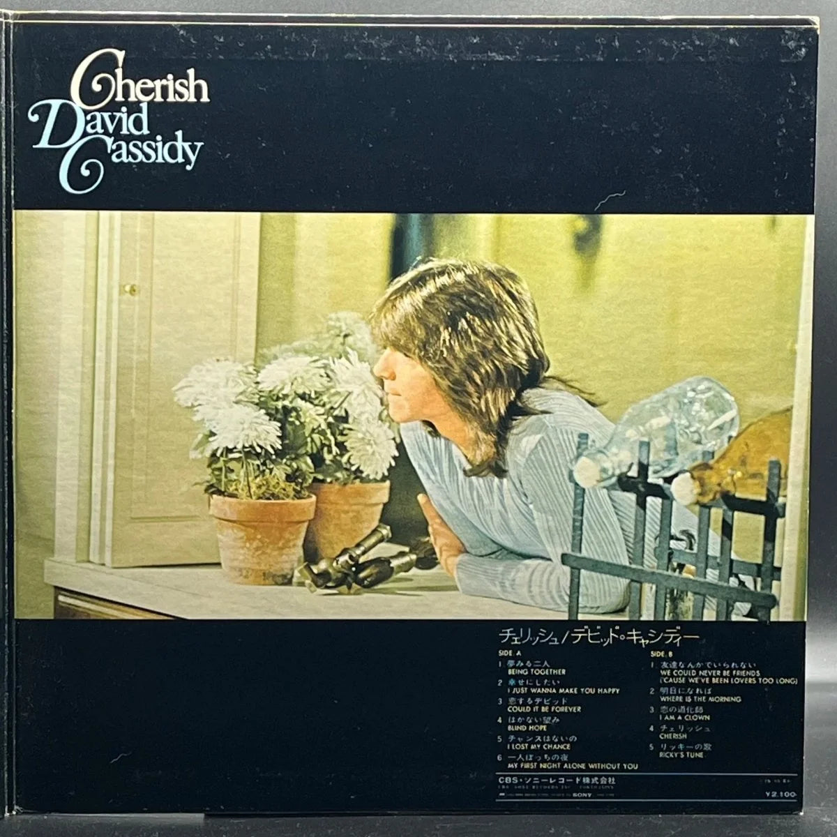David Cassidy - Cherish