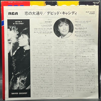 David Cassidy - Gettin' It In The Street