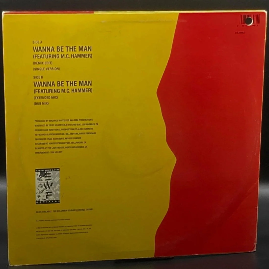 Earth, Wind & Fire feat. M.C. Hammer - Wanna Be The Man (Single)