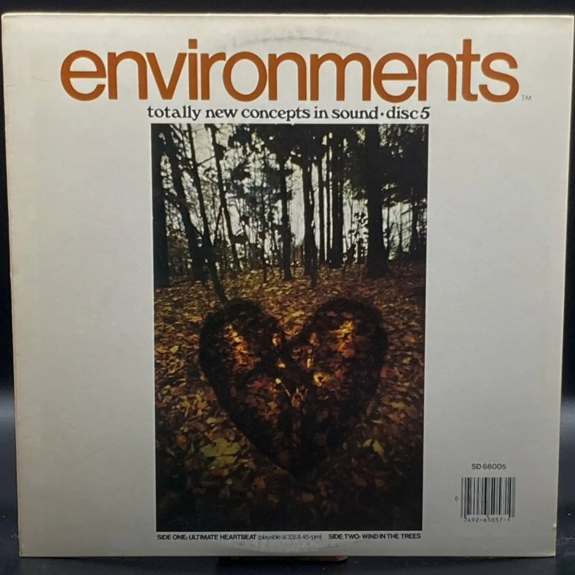 Environments V