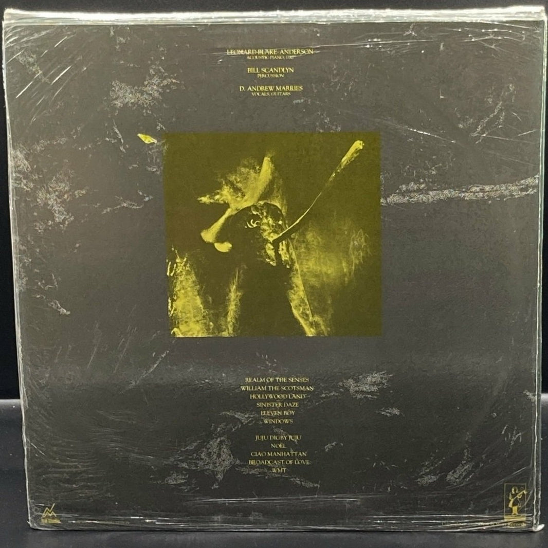 Friends Of Ghosts - Realm Of The Senses