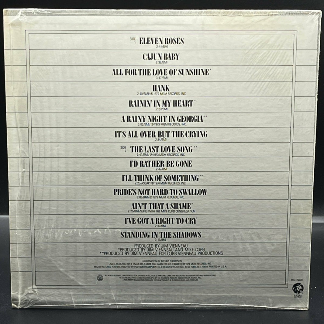 Hank Williams, Jr. - Fourteen Greatest Hits