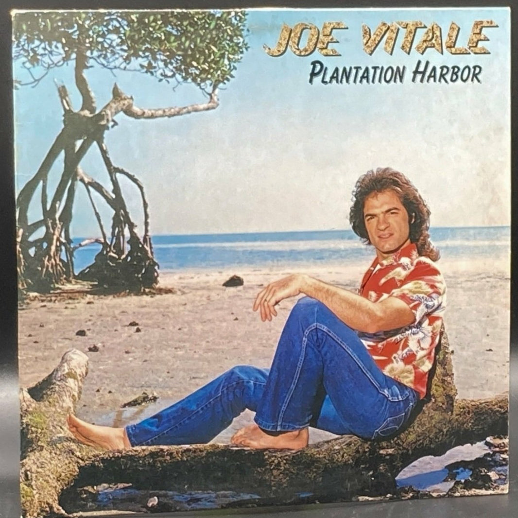 Joe Vitale - Plantation Harbor