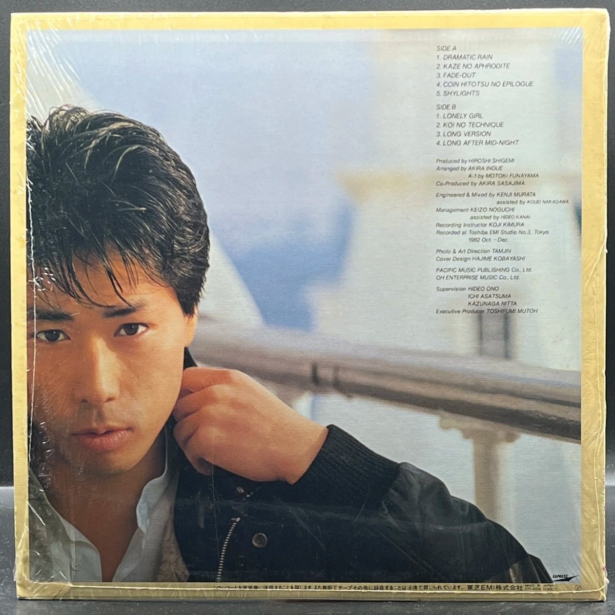 Junichi Inagaki - Shylights (稲垣潤一 - シャイライツ)