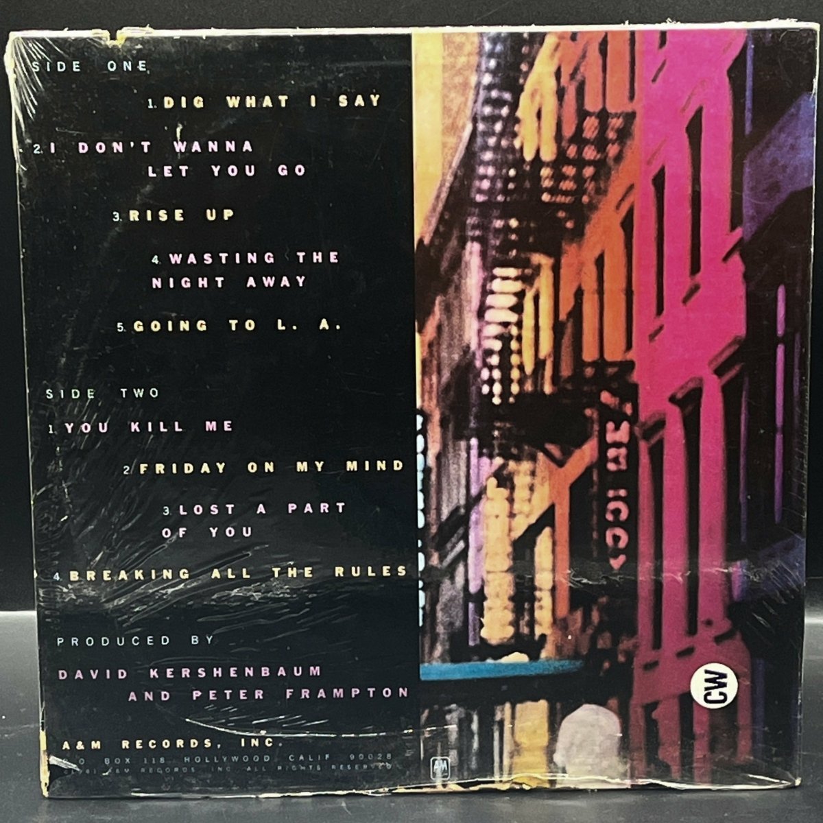 Peter Frampton - Breaking All the Rules