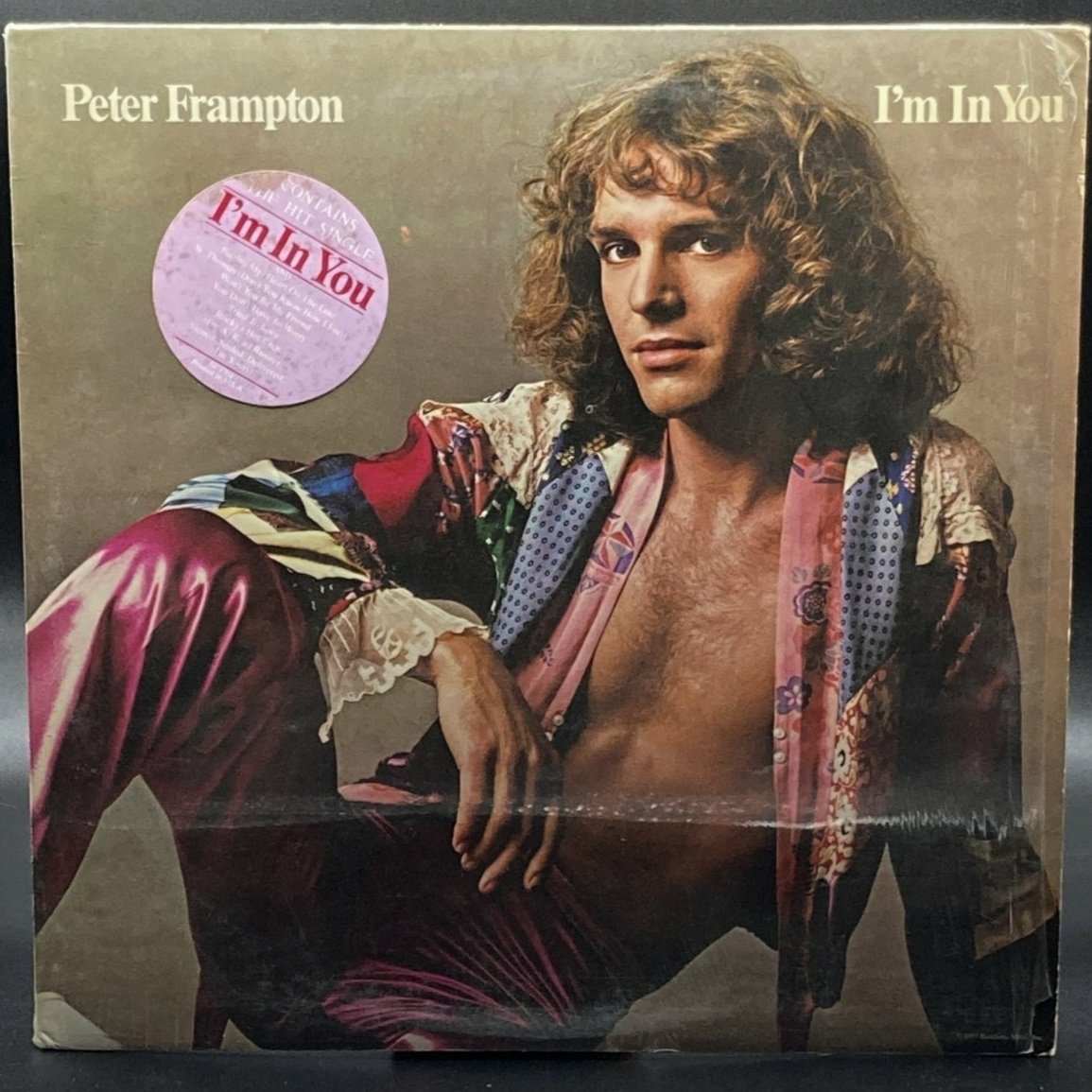 Peter Frampton - I'm In You