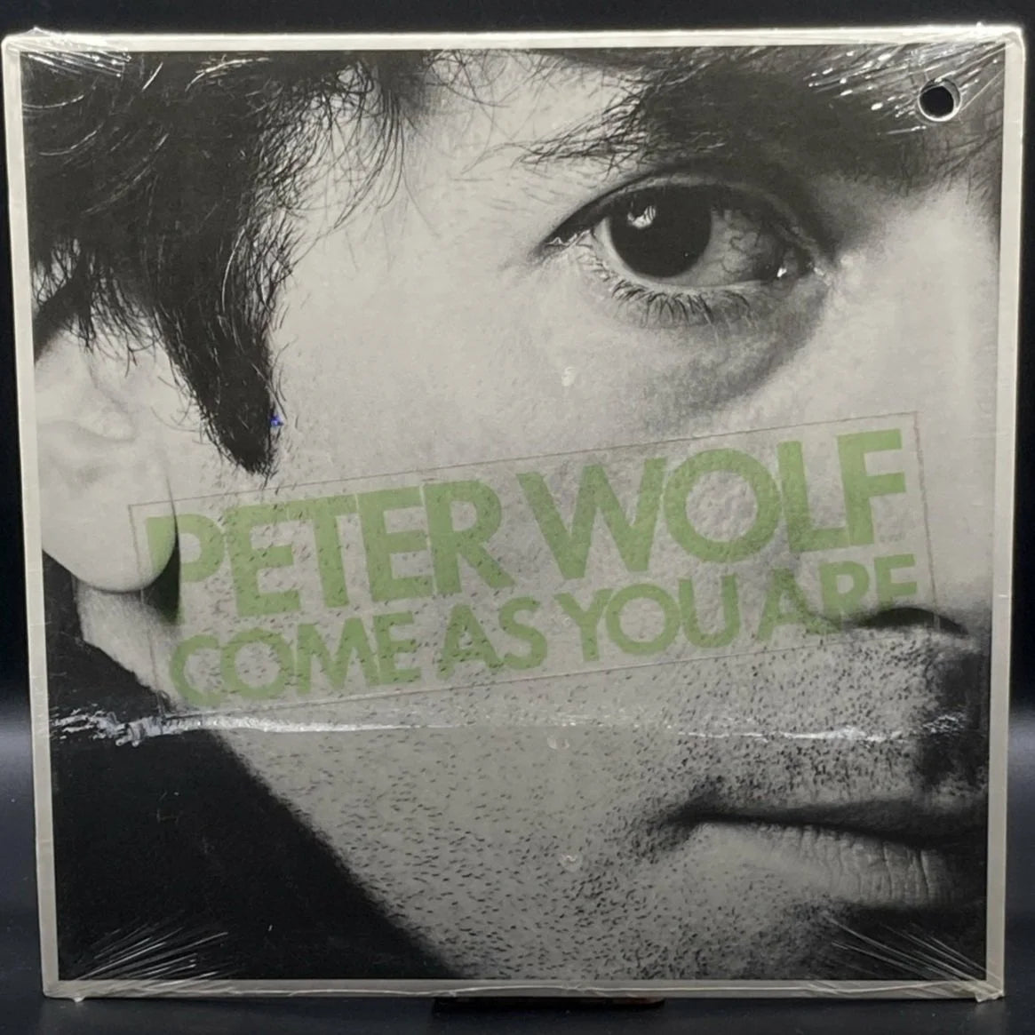 Peter Wolf - Come As You Are