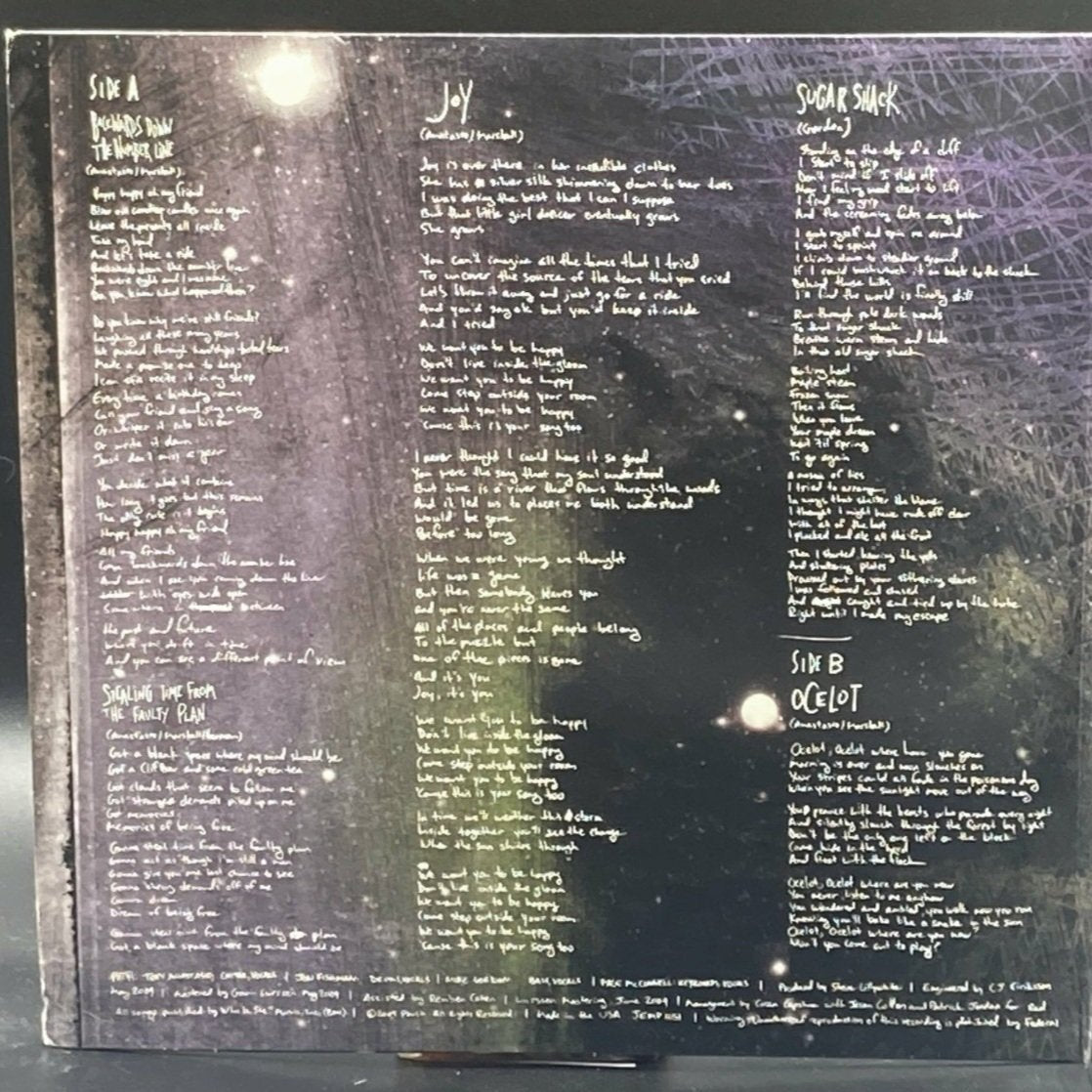 Phish - Joy