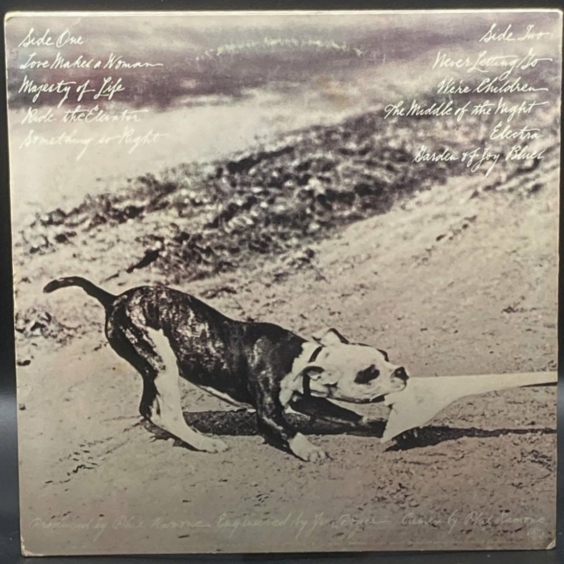 Phoebe Snow - Never Letting Go