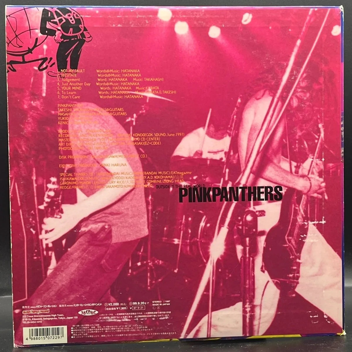Pinkpanthers - Outside Is The Real World