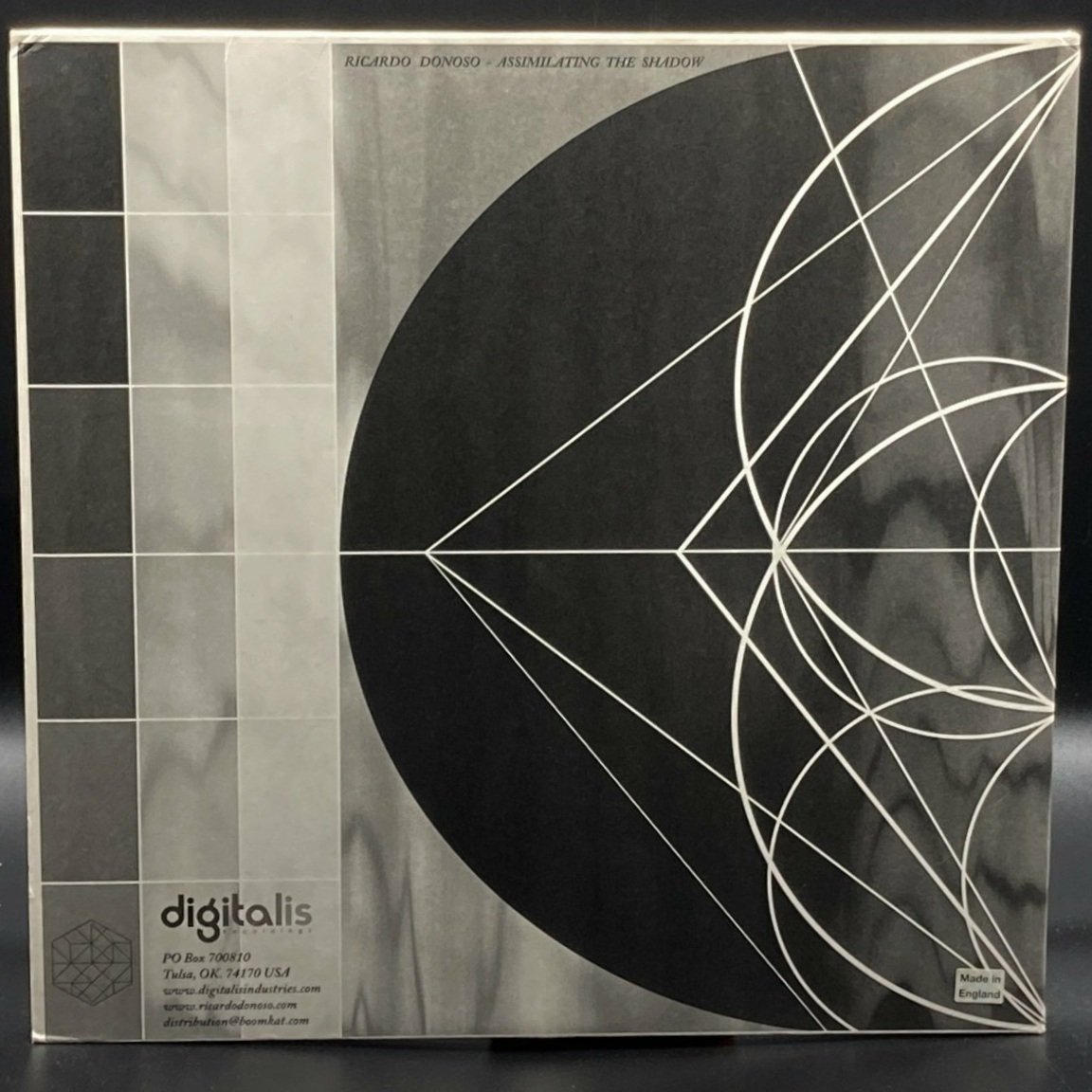 Ricardo Donoso - Assimilating The Shadow