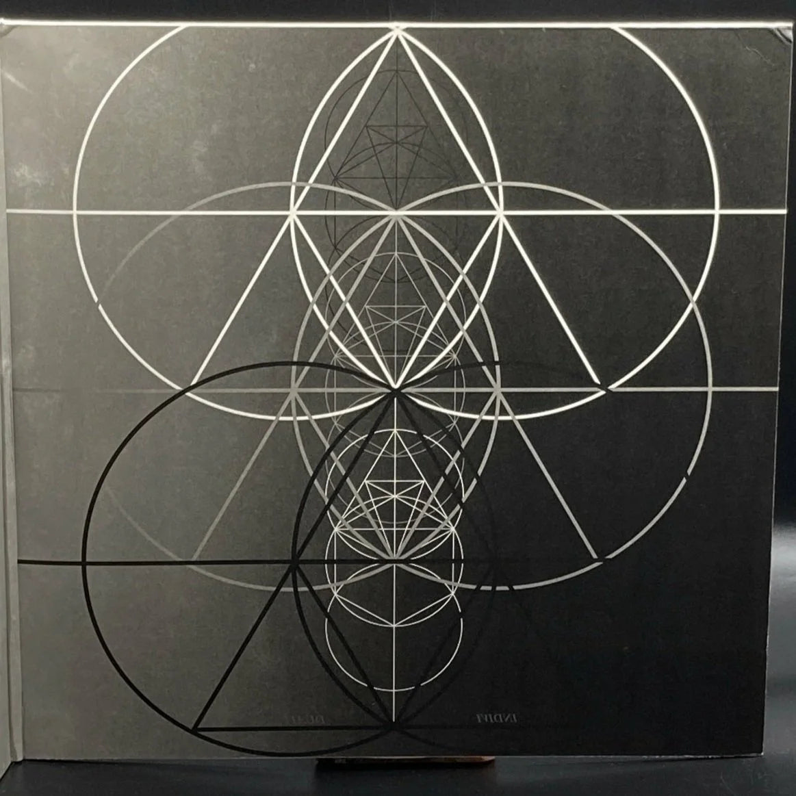 Ricardo Donoso - Assimilating The Shadow