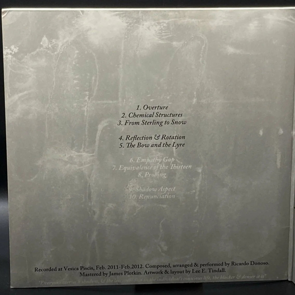 Ricardo Donoso - Assimilating The Shadow