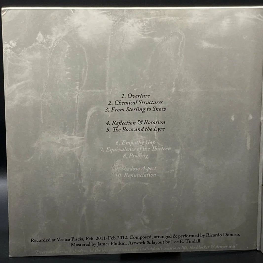 Ricardo Donoso - Assimilating The Shadow