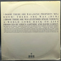 Scritti Politti feat. Roger Troutman - Boom! There She Was (Single)