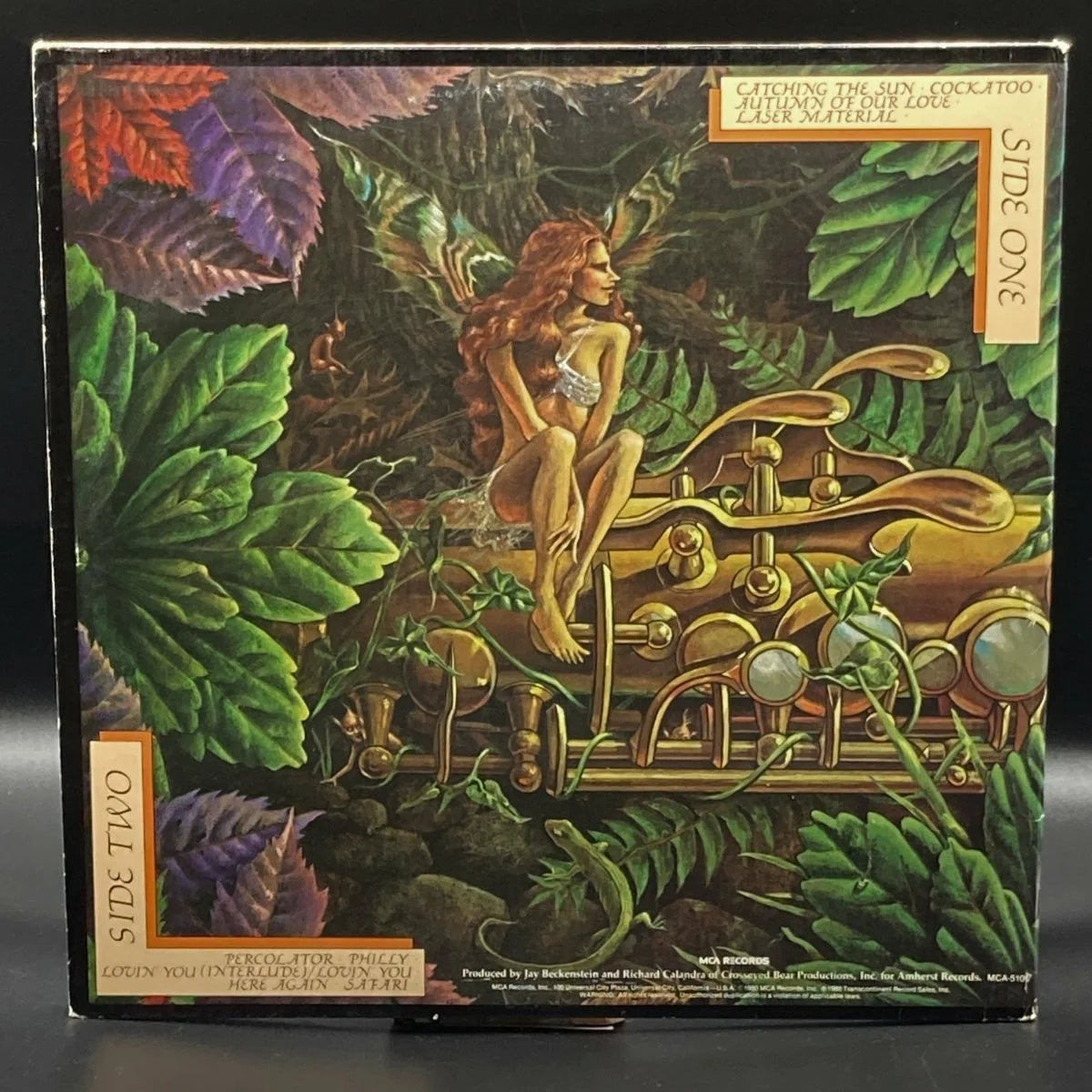Spyro Gyra - Catching The Sun