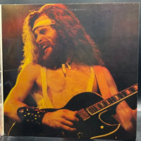 Ted Nugent - Double Live Gonzo