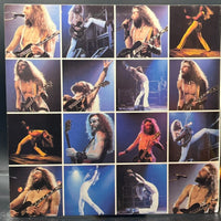 Ted Nugent - Double Live Gonzo