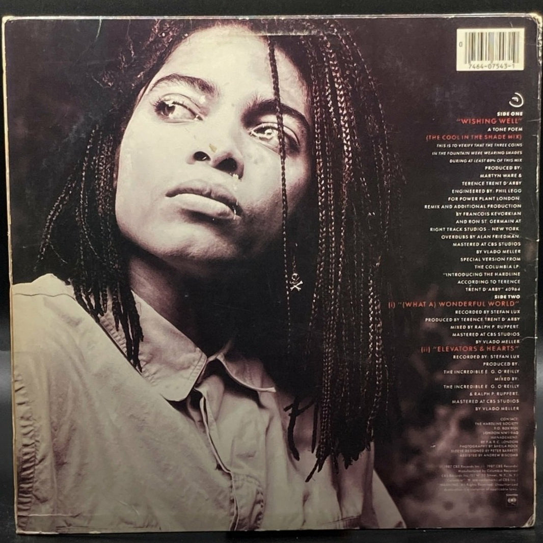 Terence Trent D'Arby - Wishing Well (The Cool In The Shade Single Mix)