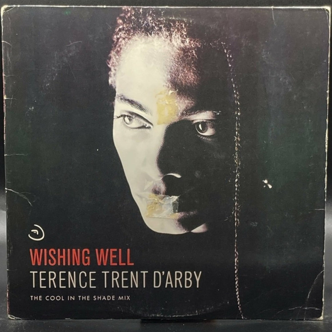 Terence Trent D'Arby - Wishing Well (The Cool In The Shade Single Mix)