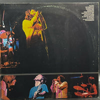 The Doors - Absolutely Live
