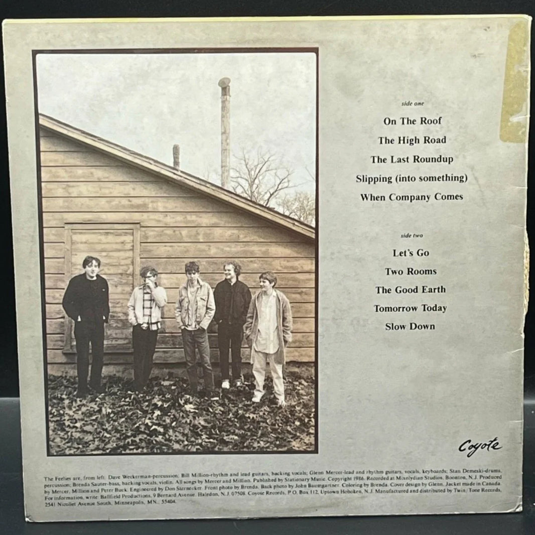 The Feelies - The Good Earth