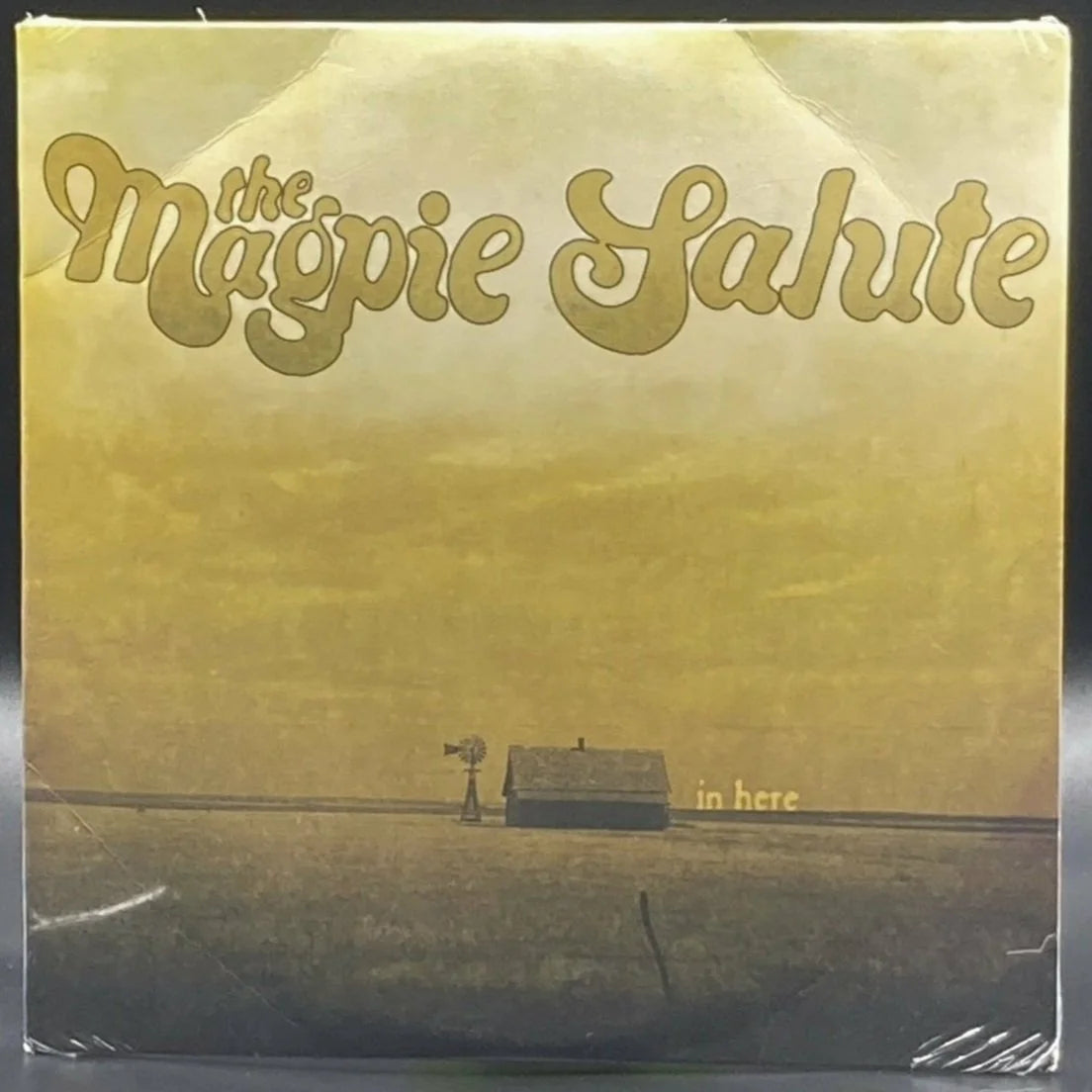 The Magpie Salute - In Here (10")