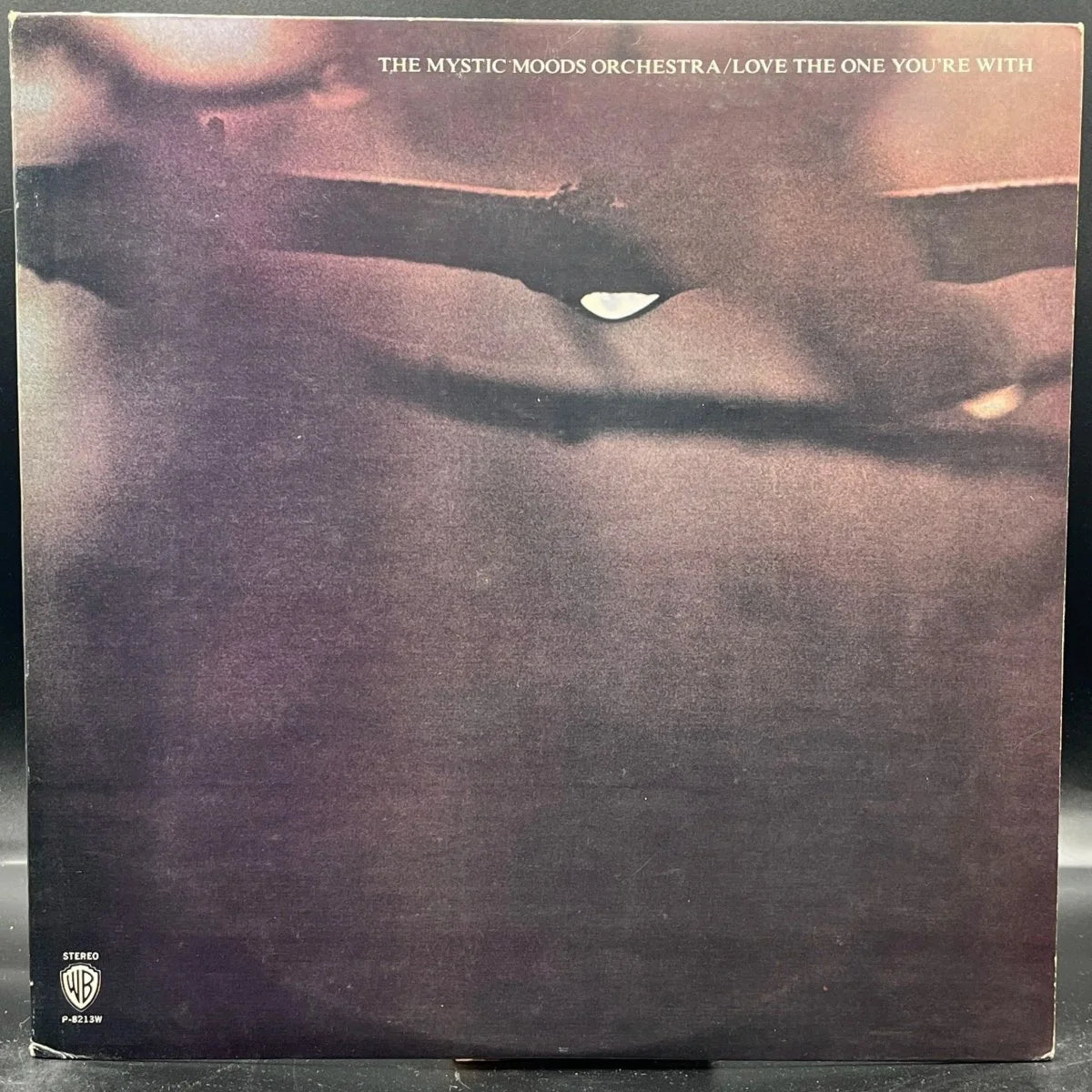 The Mystic Moods Orchestra - Love The One You're With