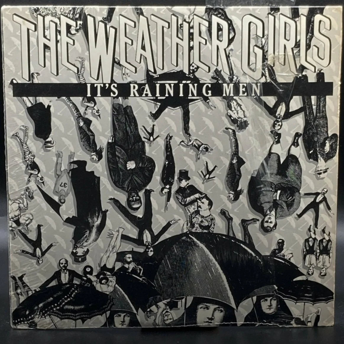 The Weather Girls - It's Raining Men (Single)