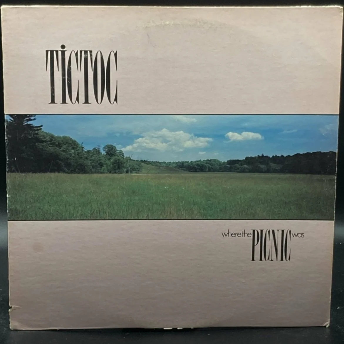 Tictoc - Where The Picnic Was