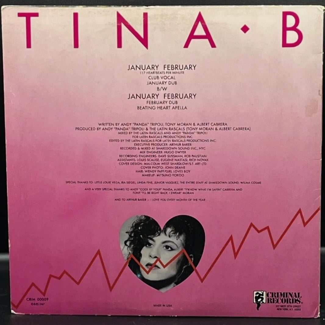 Tina B - January February (Single)