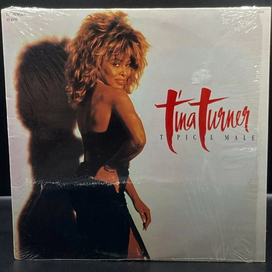 Tina Turner - Typical Male (Dance Mix Single)